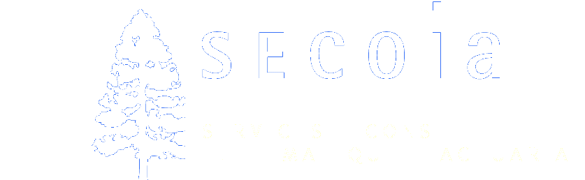 SECOIA - SErvices COnseil Informatique Actuariat